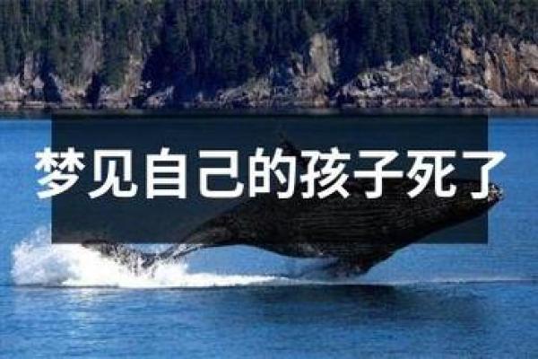 梦见母亲死了是什么预兆_梦见母亲死了是什么预兆周公