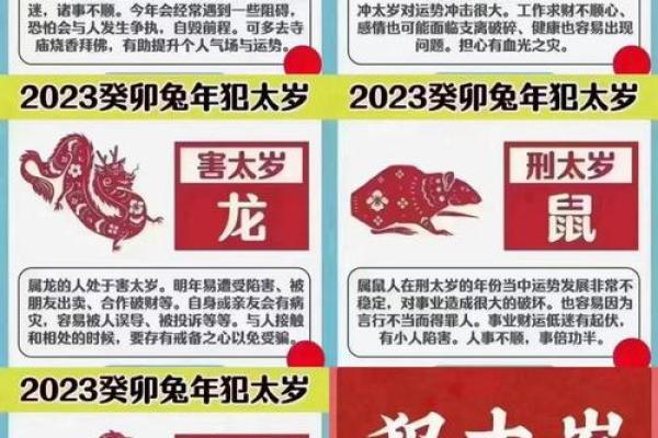 2025犯太岁五大生肖属相,2024犯太岁最凶的四大生肖