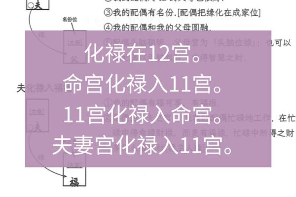 夫妻宫化禄入疾厄宫，夫妻宫化禄入疾厄宫怎么看