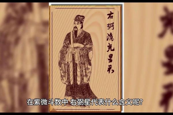 右弼在子女宫，右弼在子女宫的含义