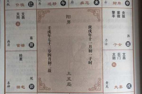 天同在财帛宫，天同在财帛宫的属相