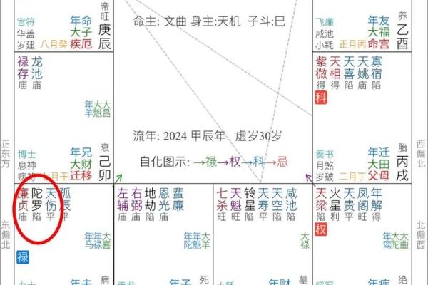 文昌化忌为最强财星，文昌化忌什么意思