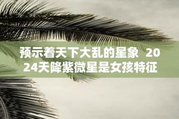 天降紫微星，天降紫微星什么意思