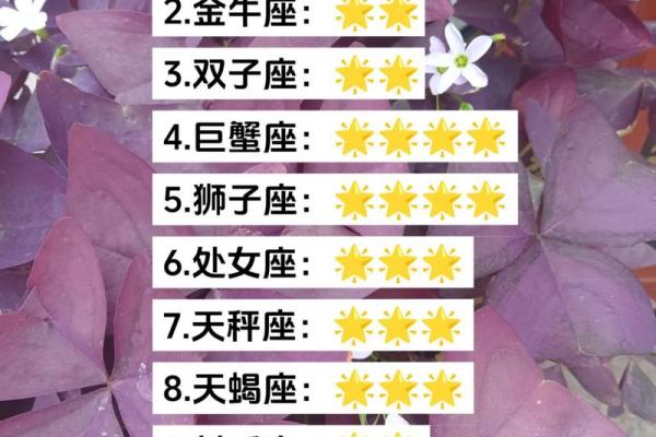 星座运势2 星座运势2024年