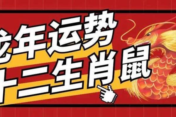 1984年男属鼠人2022年运势及运程_1984年属鼠男2021年的运势
