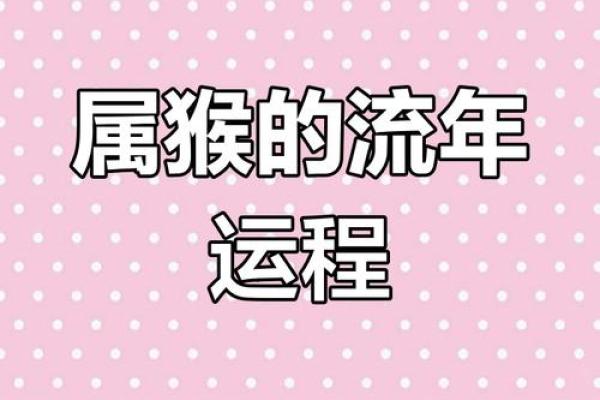 68年的属猴男今年运势怎么样_68年属猴男2023年运势解析财运事业感情全揭秘
