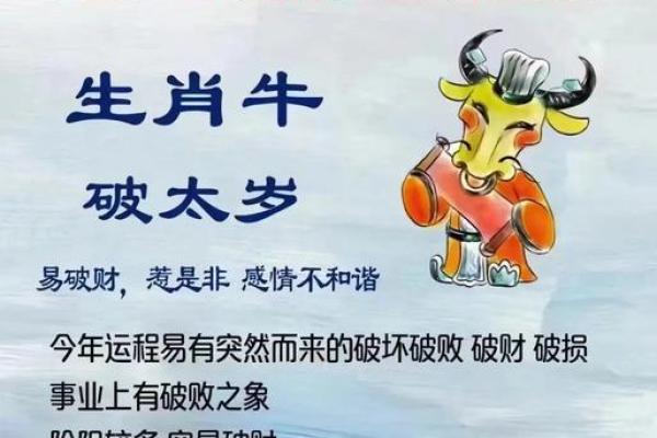 23年金牛运势_2023年金牛座运势解析财运爱情与事业全攻略