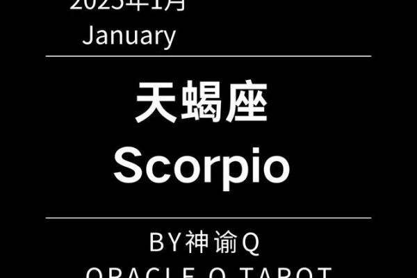 天蝎12月星座运势塔罗_天蝎座12月塔罗运势解析爱情事业双丰收