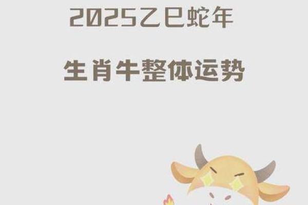 2025年属马金牛座运势 2025年属马金牛座运势详解财运爱情与事业全解析