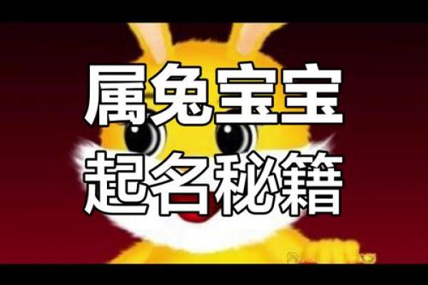 属兔男孩草字头吉利的名字(属兔男孩草字头吉利的名字大全)