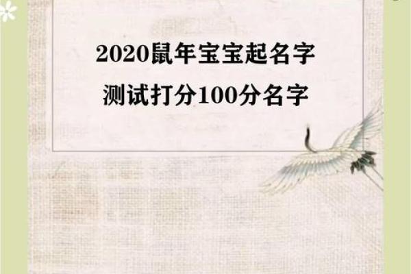 在线姓名测试打分评分免费(姓名分析免费测试)