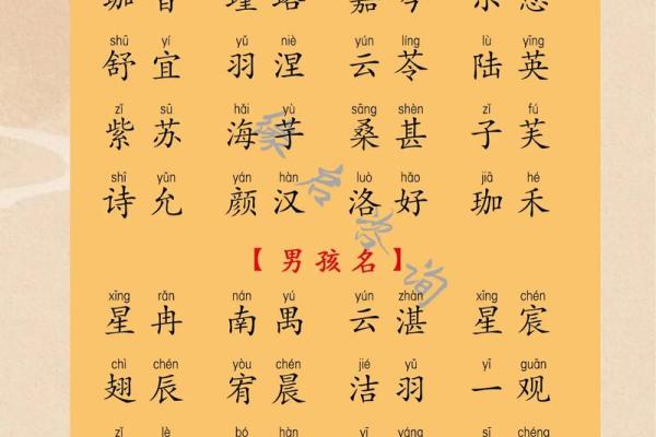 年字辈取名字大全男孩(年姓取名男孩洋气点的)