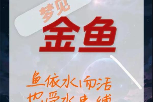 梦到鱼是什么征兆 女性(梦到抓鱼是什么征兆 女性)