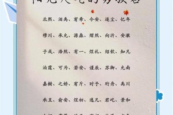 男孩简单大气的名字(男孩简约大气的名字)