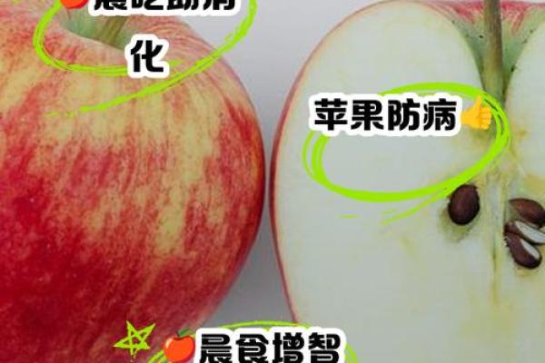 梦见吃苹果什么意思(梦到吃苹果周公解梦)