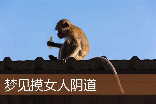 梦到妈妈死了什么预兆(梦到妈妈死了什么预兆幸运数字)
