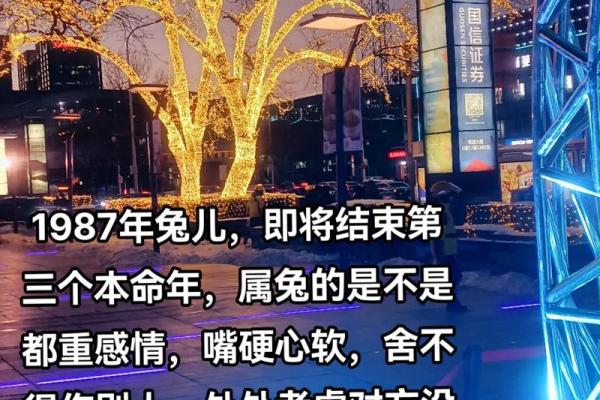 1987属兔结婚吉日(87年兔2021结婚吉月) 1987属兔结婚吉日(87年兔2021结婚吉月)