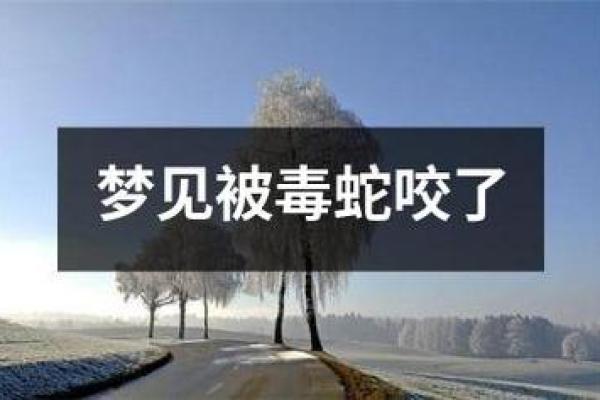 梦到蛇咬自己是什么征兆 女性(梦到蛇咬自己是什么征兆 女性还流血了)