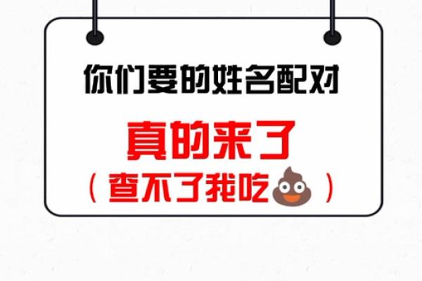 卜易居姓名测试打分免费取名(卜易居姓名免费测试打分测试)