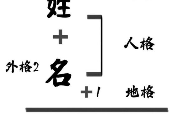 姓名人格天格地格测试(姓名与人生天格地格)