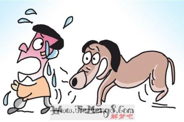 女人梦见一路上不停捡钱(女人梦见一路上不停捡钱捡到55万) 女人梦见一路上不停捡钱(女人梦见一路上不停捡钱捡到55万)