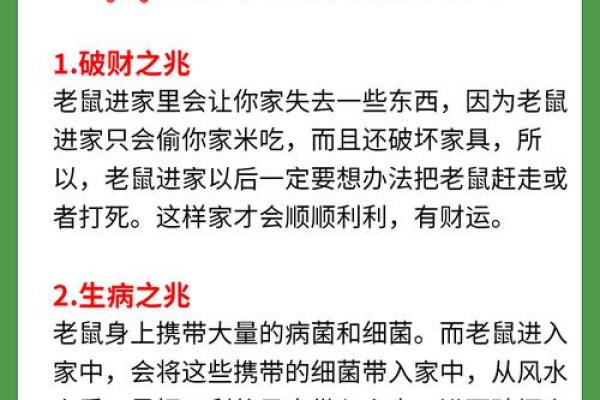 男人梦见老鼠什么征兆(男人梦见老鼠是好是坏)