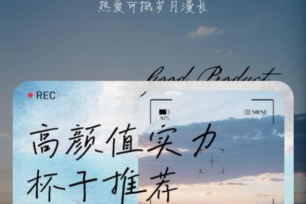 杯子公司的名字怎么起(杯子公司口号)