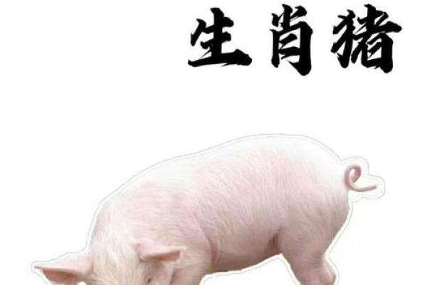 1995年属猪人结婚吉日(1995年属猪人结婚吉日有哪几天)