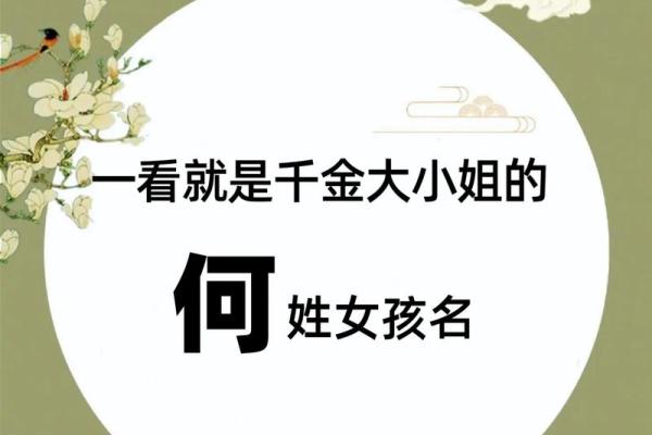 何氏取名字大全男孩(何氏男宝名字大全)