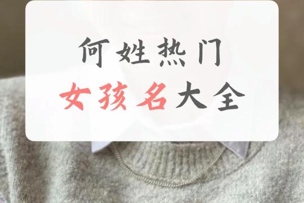 何氏取名字大全男孩(何氏男宝名字大全)