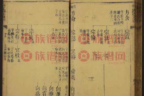 林氏起名字大全男孩(林氏起名字大全男孩女孩名字)