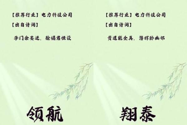 科技感十足的公司名称四个字(现代科技感的公司名)