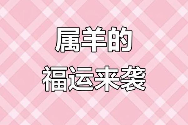 属羊双子座运势(属羊双子座运势怎么样)