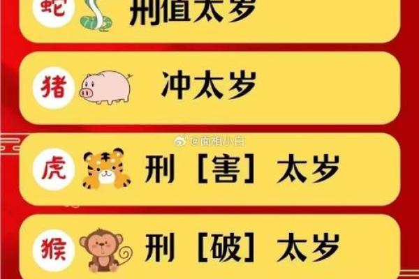 2025年生肖猪适合安门的好日子推荐_属猪2025(明年属猪)