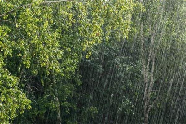 梦见涨大水是什么预兆 女性(梦见涨大水是什么预兆 女性周公解梦)