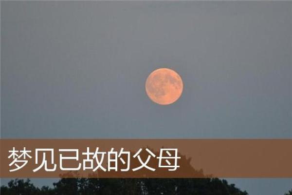 梦到父亲死了是什么征兆(梦到父亲死了是什么征兆解梦)