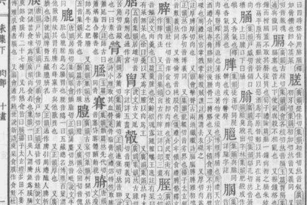 康熙字典姓名免费测试打分(康熙字典名字测试)