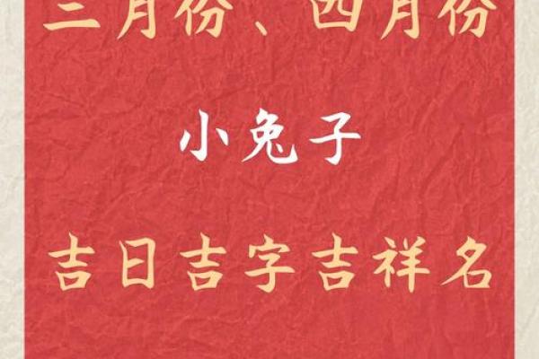 2023女孩吉利的名字大全(2023年属兔的女孩名字)