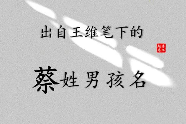蔡姓女孩子取名字大全(蔡姓女孩子取名字大全带水带王的)