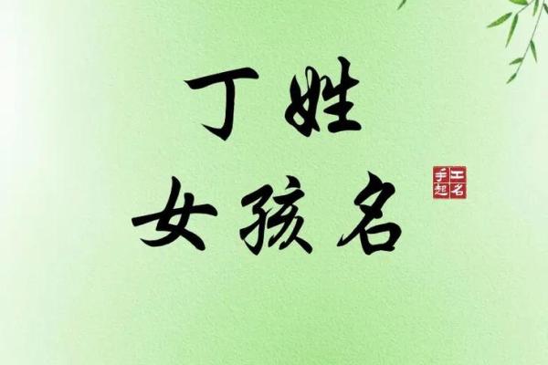 丁姓男孩取名字大全(丁姓男孩取名字大全属兔)