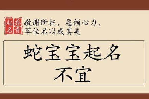 女孩高雅有涵养的名字大全(女孩高雅有涵养的名字大全属蛇)