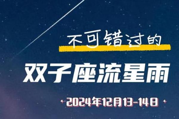 属马双子座2024年运势完整版(马年双子座今年运程)