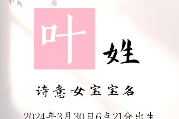 叶姓女孩最好听的名字(叶姓女孩儿的名字大全)
