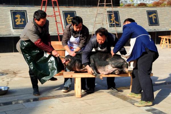 梦见杀猪是什么预兆(梦见杀猪是什么预兆打麻将)