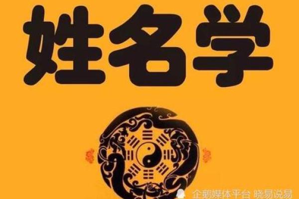 易经姓名测试打分 免费(易经姓名测试打分算命)