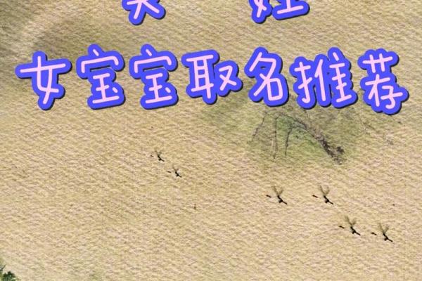 属蛇女孩最吉利的名字(属蛇女孩最吉利的名字免费吴姓)