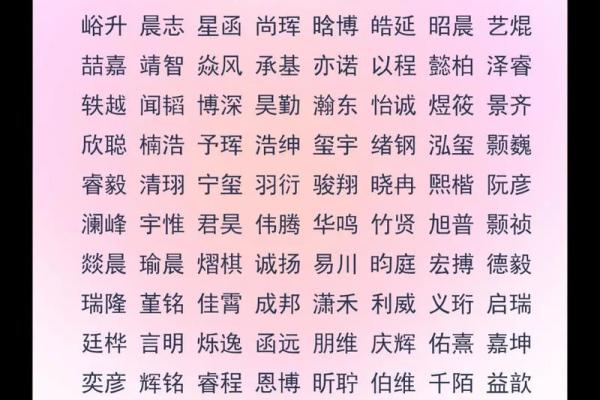取名字大全男孩名字(升字取名字大全男孩名字)