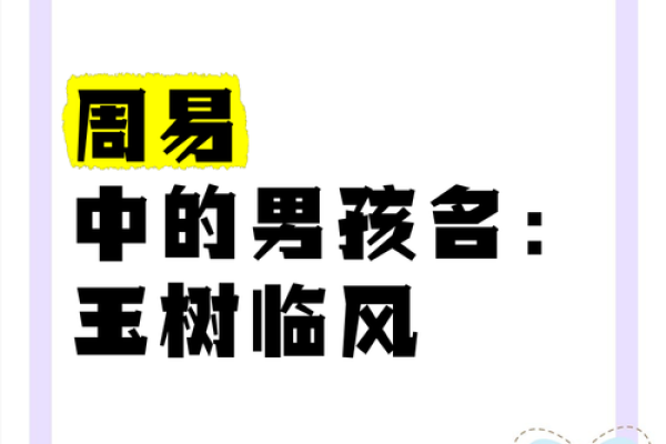 出自周易的男孩名字(周易 男孩名字)