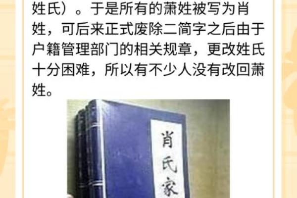 姓肖的男孩名字顺口三个字(姓肖男孩名字好听时尚)