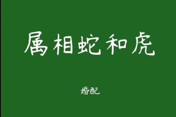 3月领证吉日虎和蛇合适吗 3月领证吉日虎和蛇合适吗